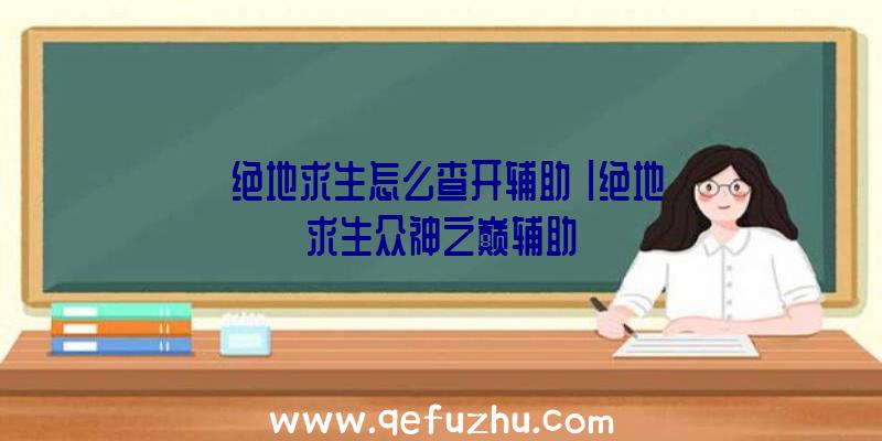 「绝地求生怎么查开辅助」|绝地求生众神之巅辅助
